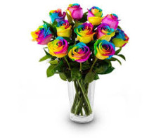 Fr00111rainbow roses bouque in vase $199.99(12stems);$379.99(24STEMS)